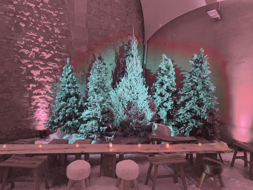 SÉMINAIRE CATELLA 2019